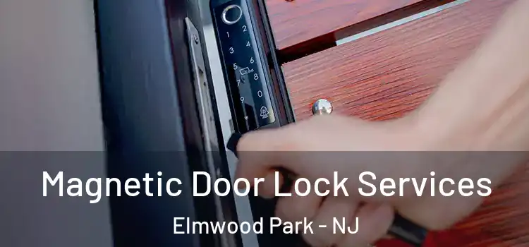 Magnetic Door Lock Services Elmwood Park - NJ